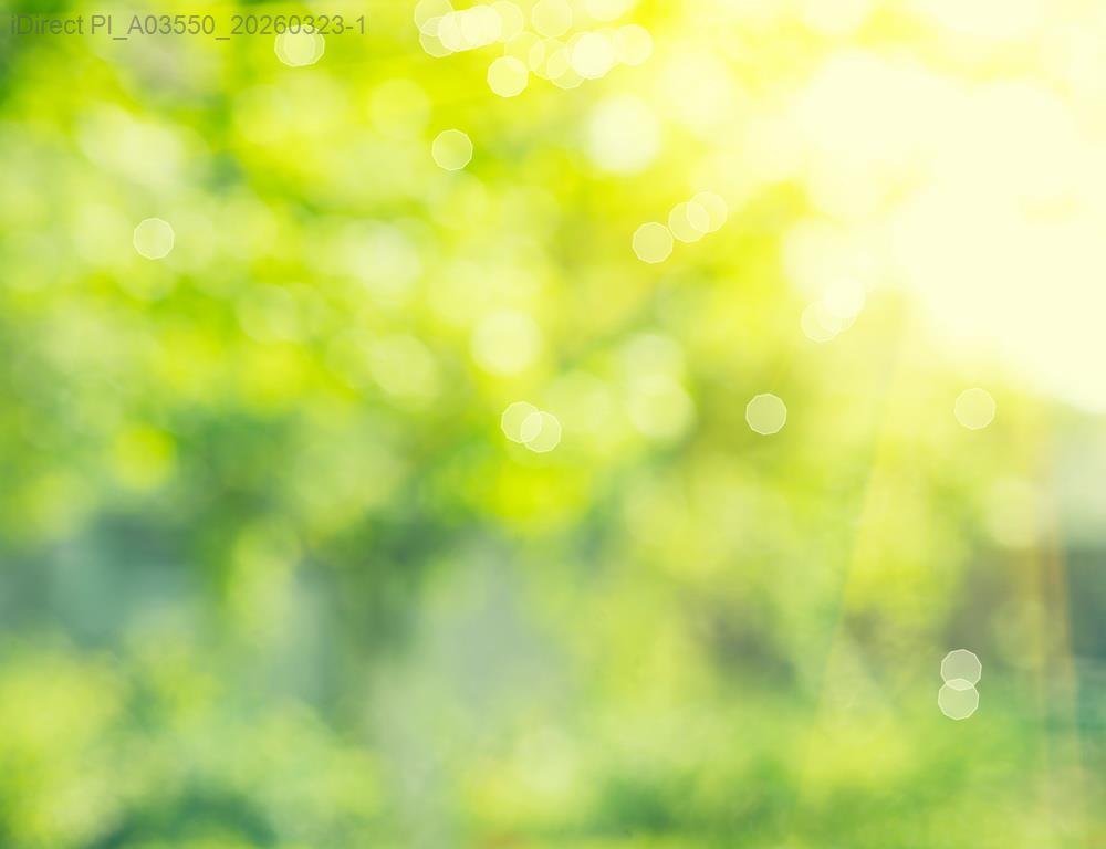 初入零廢棄生活？小心別掉進這些環保「假面」陷阱！